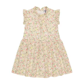 Kinsley Dropwaist Dress Flora